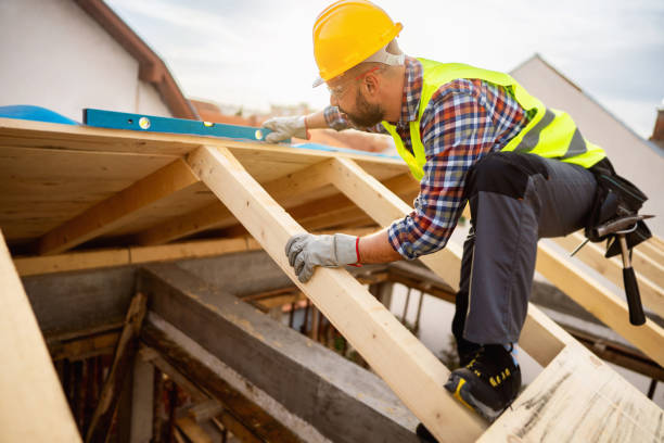 Best New Roof Installation  in Algoma, WI